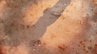 Magnificent babes get screwed in wild