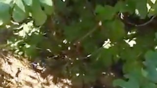 Fuck his sweetheart in the park