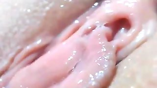 Yiammi