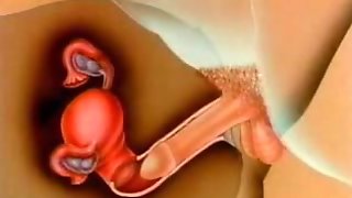 Woman's impregnation